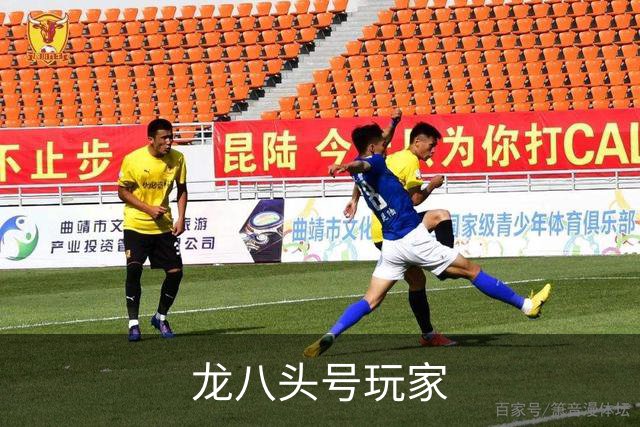 龙八头号玩家公司介绍展示图